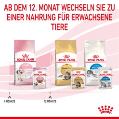 Royal Canin Kitten Nassfutter In Soße Für Kätzchen 12 X 85 G 13 Royal Canin Kitten Nassfutter In Soße Für Kätzchen 12 X 85 G -DECHRA Verkäufe 9003579308745 4501 9