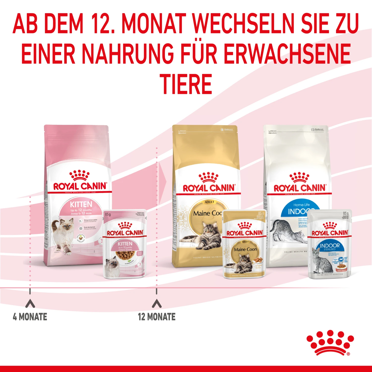 Royal Canin Kitten Nassfutter In Soße Für Kätzchen 12 X 85 G 7 Royal Canin Kitten Nassfutter In Soße Für Kätzchen 12 X 85 G – Bild 7