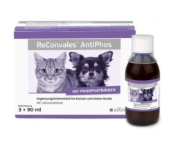 ReConvales AntiPhos