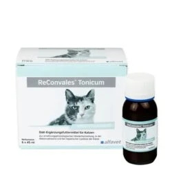 Reconvales Tonicum Katze